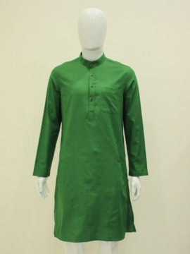 Rajvansh - Nawabi Kurta (Green Pea)